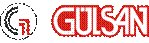http://www.gulsanholding.com.tr/images/logo/logo.png